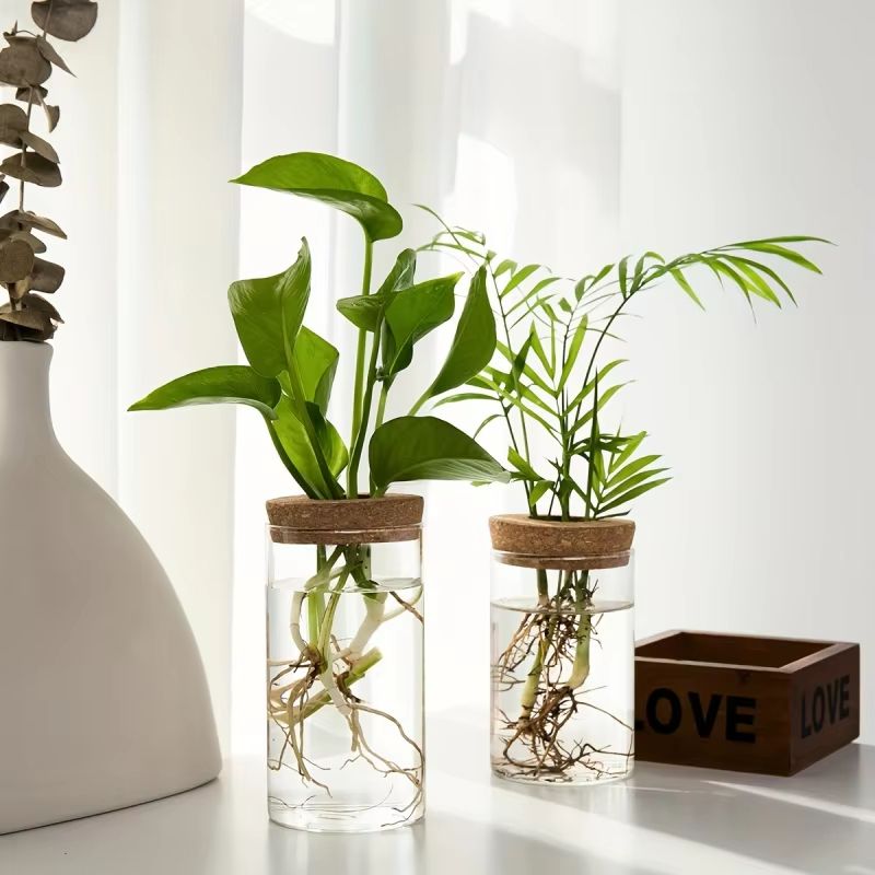 AquaBloom Glass Desktop Hydroponics Planter  Elegant Vase For Plant Propagation  Home Decor 2