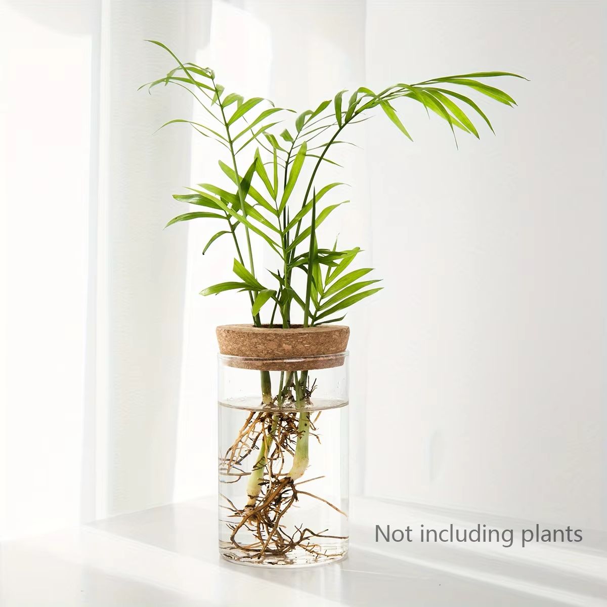 AquaBloom Glass Desktop Hydroponics Planter  Elegant Vase For Plant Propagation  Home Decor 7