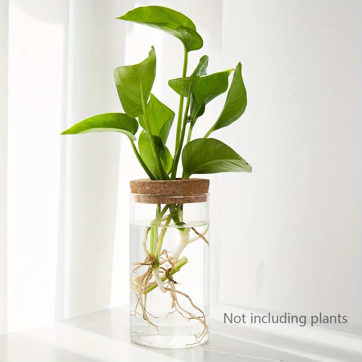AquaBloom Glass Desktop Hydroponics Planter  Elegant Vase For Plant Propagation  Home Decor 8