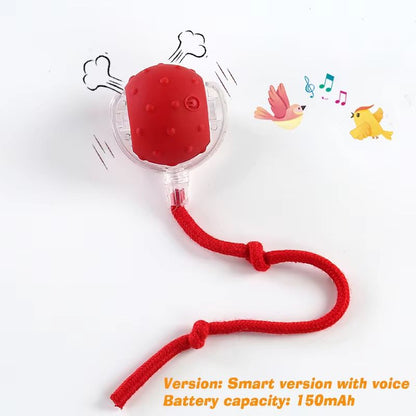 Smart Roll Play Cat Ball Toy USB Rechargeable Automatic Interactive For Cats 10