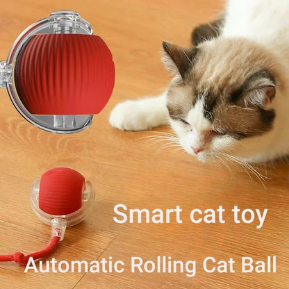 Smart Roll Play Cat Ball Toy USB Rechargeable Automatic Interactive For Cats 4