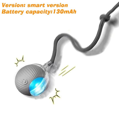 Smart Roll Play Cat Ball Toy USB Rechargeable Automatic Interactive For Cats 7