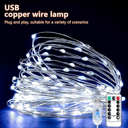 USB LED String Lights  Flexible Copper Wire Fairy Garland For Christmas Wedding And Party Decoratio 9