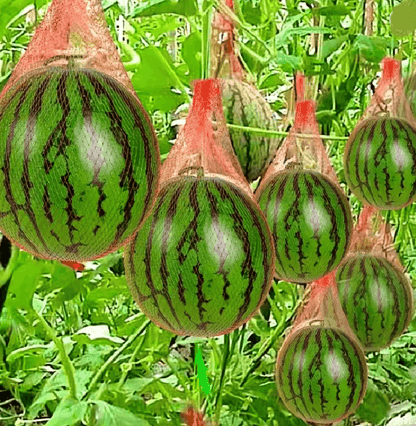 GrowNet Heavy Duty Plastic Garden Netting 100 Pack for Vertical Support and Crop Protection