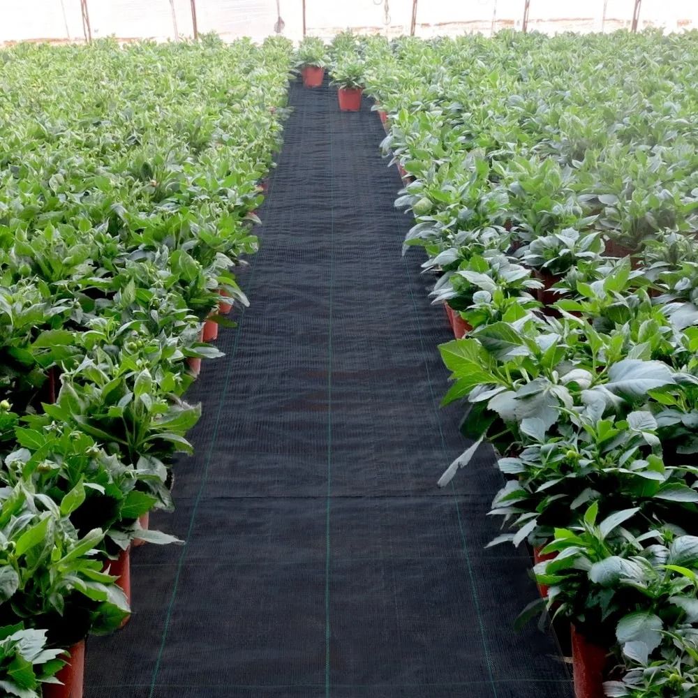 Heavy Duty Geo Textile Fabric Weed Control Fabric Garden Barrier Cloth Woven Ground Cover 4