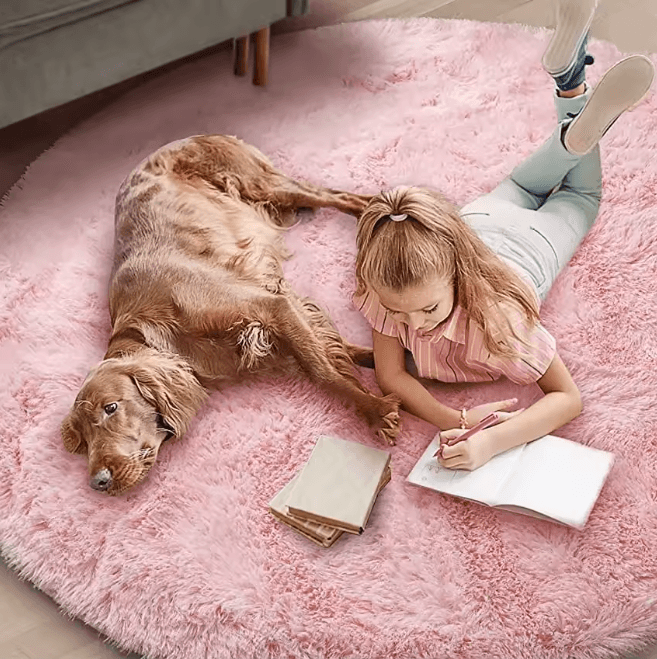 CloudSoft Plush Round Rug For Living Room And Bedroom 1