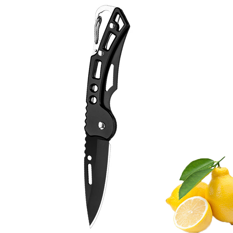 Folding Fruit Knife Stainless Steel Pocket Knife Keychain Nonslip Handle Household Small Knife 7