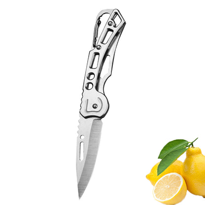 Folding Fruit Knife Stainless Steel Pocket Knife Keychain Nonslip Handle Household Small Knife 9