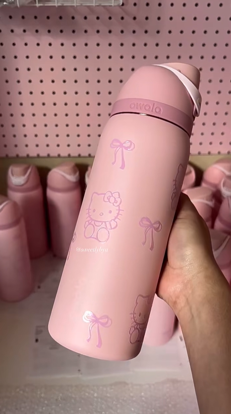Insulated Stainless Steel Water Bottle Sports Water Bottle Great For Travel 25