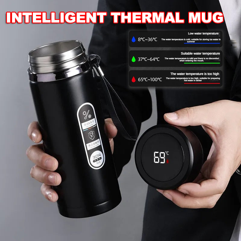 Stainless Steel Thermos Bottle, LED Temperature Display, Vacuum Flask Portable Cups