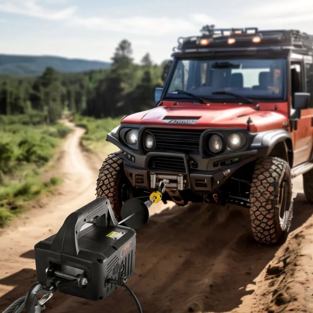 Portable Power Winch Crane Electric Hoist Winch Lifting Height Manual Wired And Wireless Remote Con