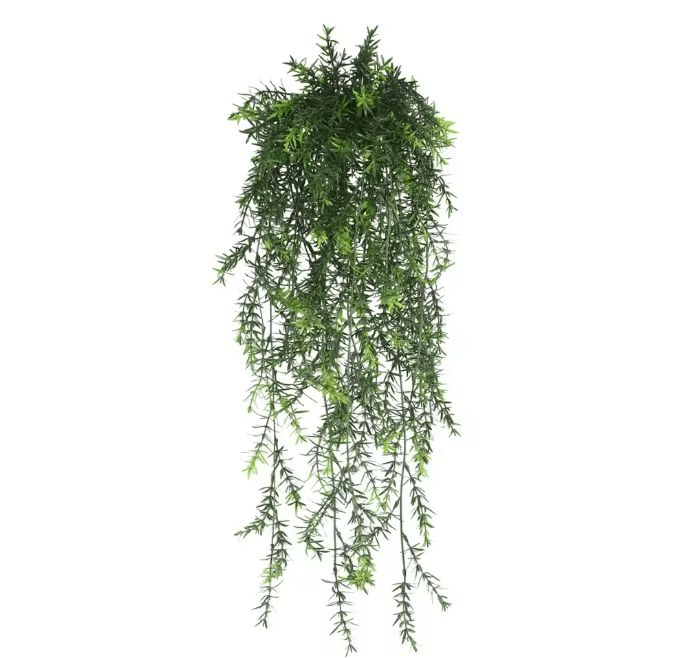 EverGreen Persian Fern Vine 90 Cm 3