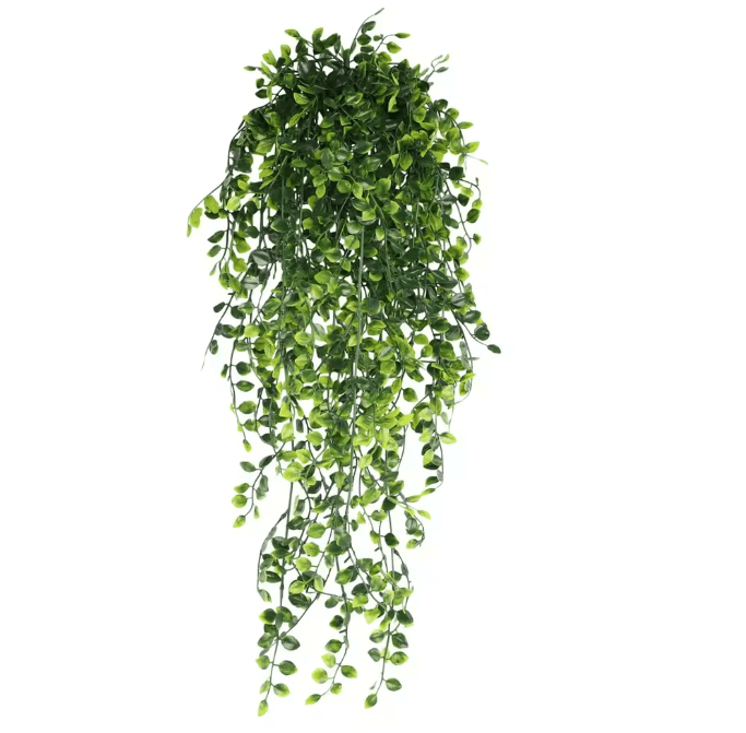 EverGreen Persian Fern Vine 90 Cm 7
