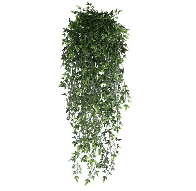 EverGreen Persian Fern Vine 90 Cm 9