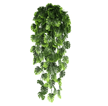 EverGreen Persian Fern Vine 90 Cm 8