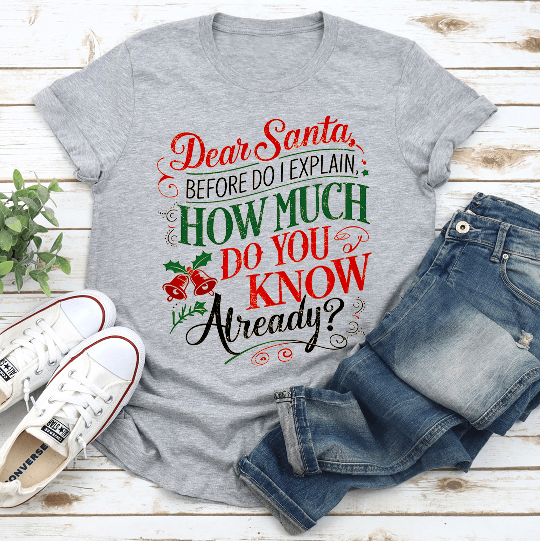 Dear Santa Before Do I Explain Tee 1