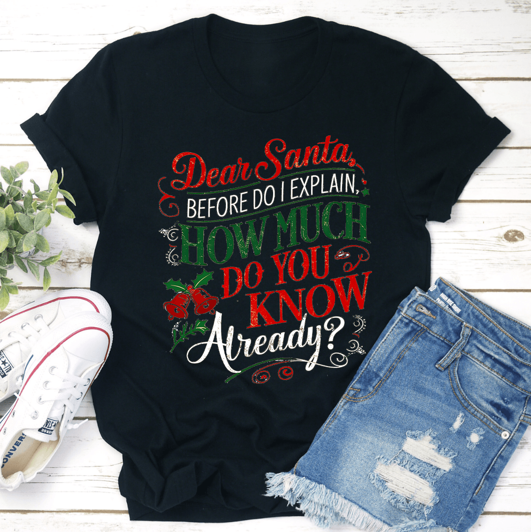 Dear Santa Before Do I Explain Tee 2