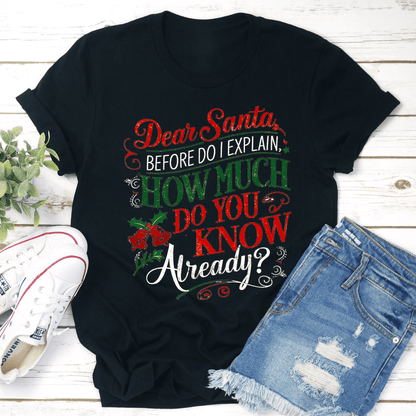 Dear Santa Before Do I Explain Tee 2