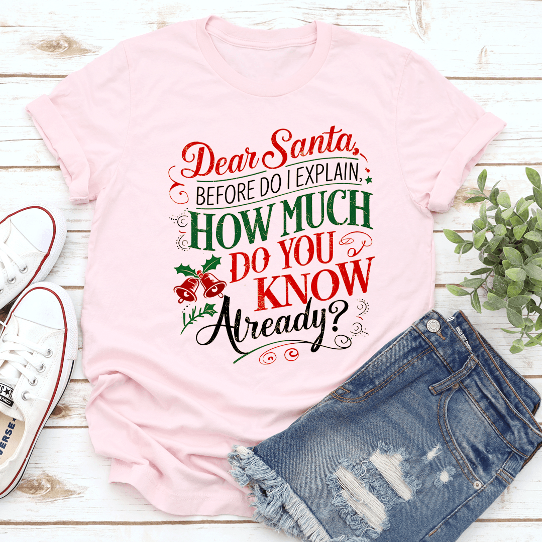 Dear Santa Before Do I Explain Tee