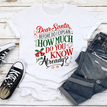 Dear Santa Before Do I Explain Tee 3