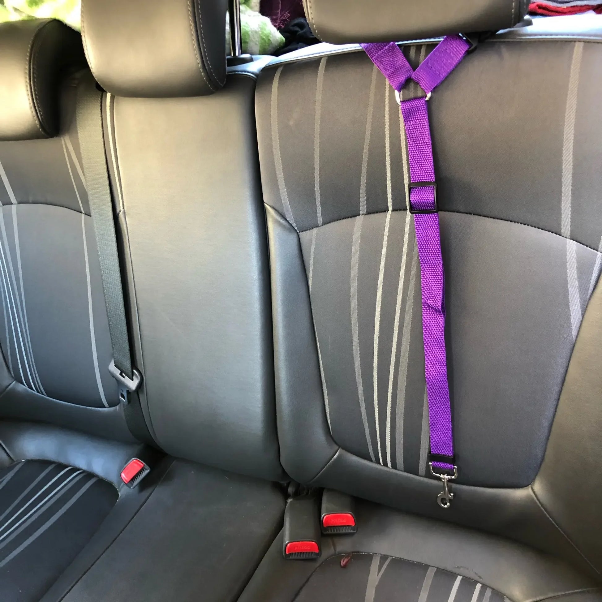 Adjustable Dogs Harness Collar, Solid Color Two in One Pet Car Seat Belt, Backseat Safety Belt, Nylon Lead Leash, Pet