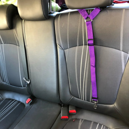Adjustable Dogs Harness Collar, Solid Color Two in One Pet Car Seat Belt, Backseat Safety Belt, Nylon Lead Leash, Pet