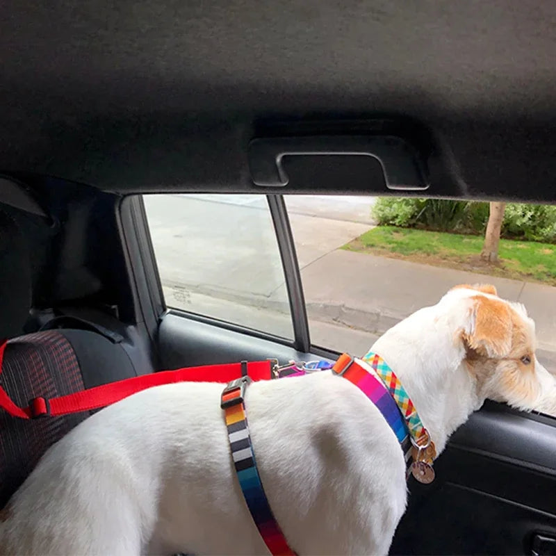 Adjustable Dogs Harness Collar, Solid Color Two in One Pet Car Seat Belt, Backseat Safety Belt, Nylon Lead Leash, Pet