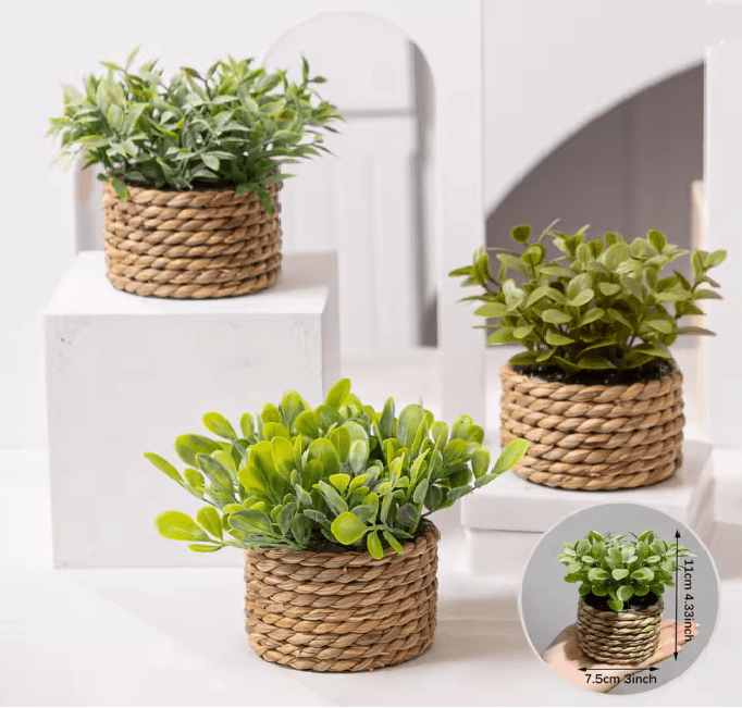 Mini Eucalyptus Potted Plant Decor