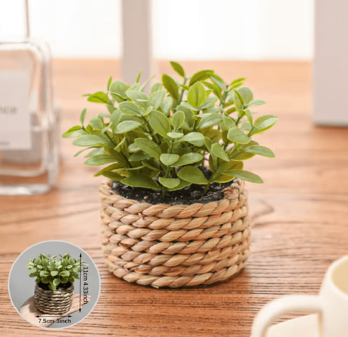 Mini Eucalyptus Potted Plant Decor 2