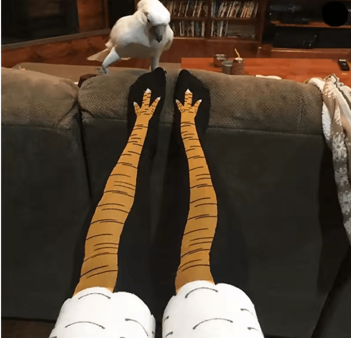 Funny Chicken Print Thigh High Socks