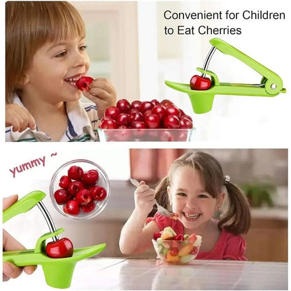 Heavy Duty Cherry Pitter Tool With Space Saving Lock Design 1