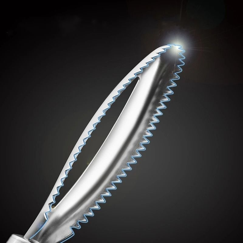 Stainless Steel Fish Scale Scraper And Bone Tweezers Set 2