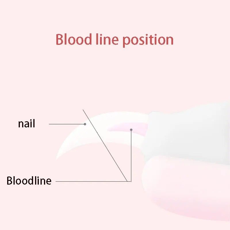 PrecisionPro Stainless Steel Dog  Cat SickleBlade Nail Clippers HeavyDuty Grooming Tool For Large D