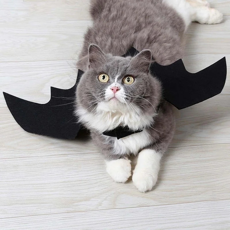 Black Bat Wings Harness Costume, Halloween Cute Pet Clothes, Cosplay Cat & Dog Party Outfit