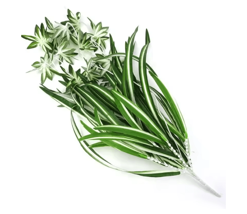 GreenFlow Hanging Potted Plant Decor 2
