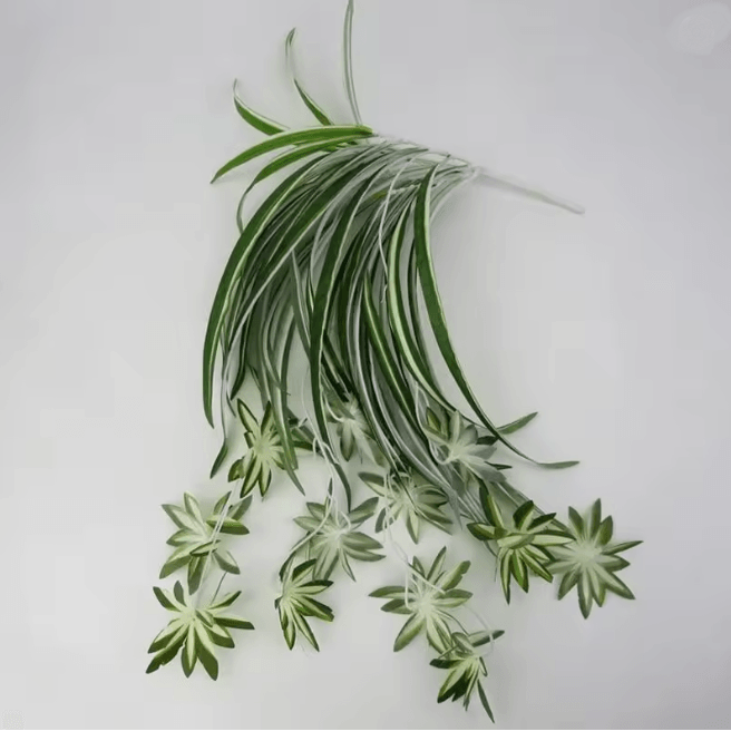 GreenFlow Hanging Potted Plant Decor 4