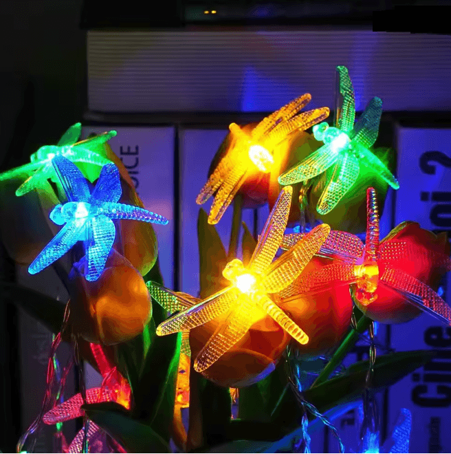 FairyGlow Battery Powered String Light 3