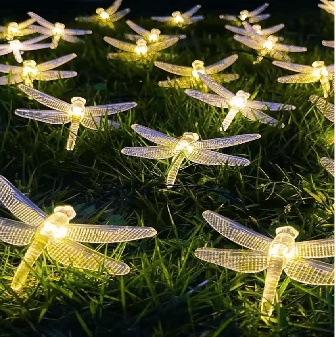 FairyGlow Battery Powered String Light 4