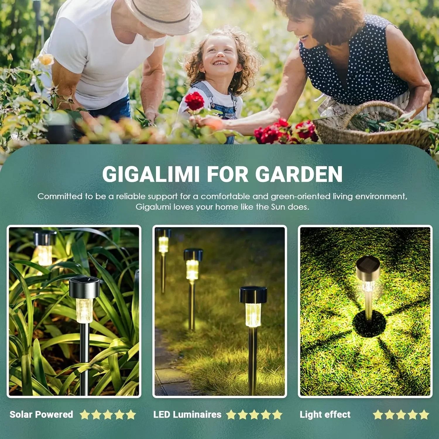 Outdoor Solar Garden Pathway Lights Set 4
