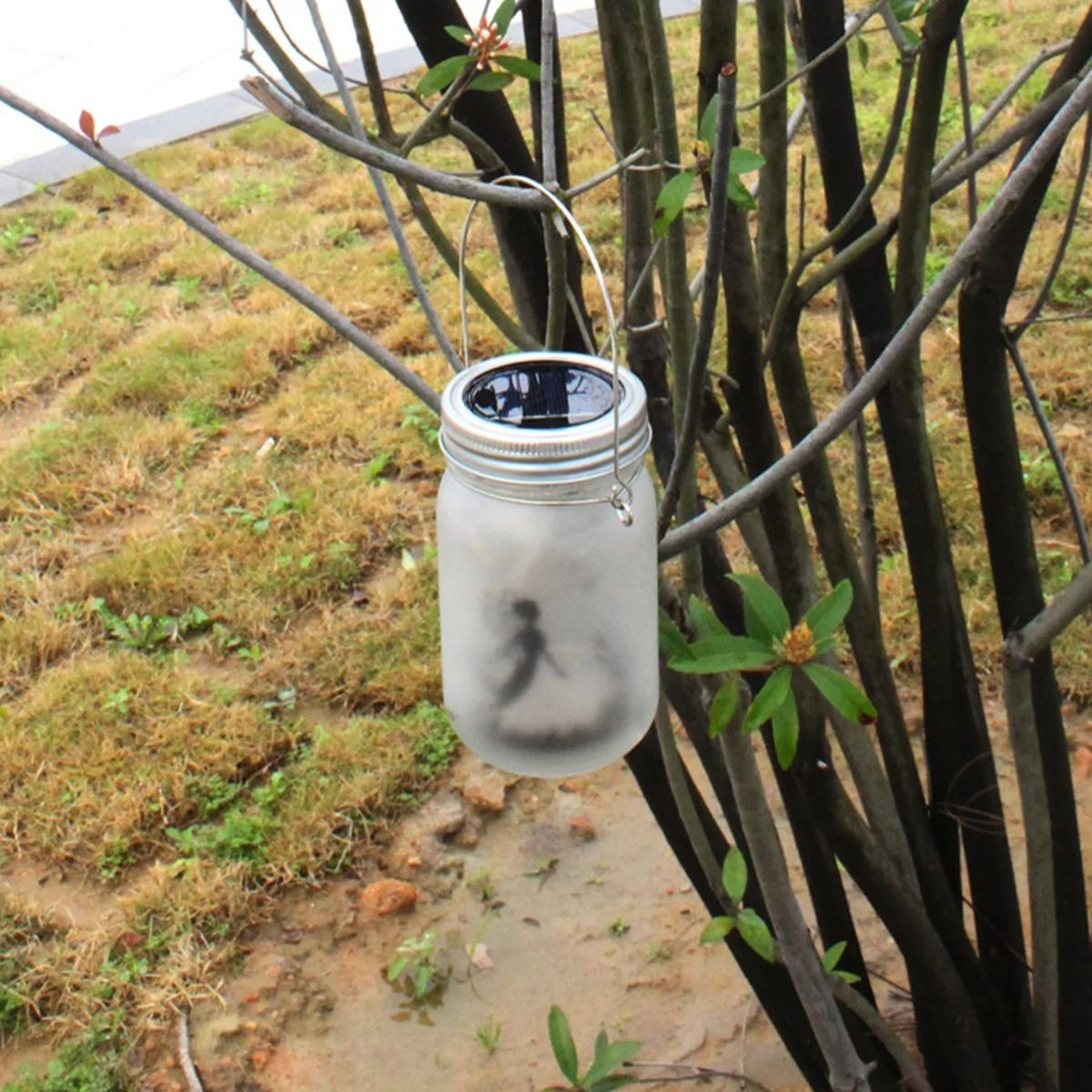 Solar Fairy Lantern Garden Light 5