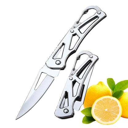 Wooden Handle Kitchen Accessories Folding Fruit Knife Stainless Steel Fruit Paring Knife Butcher Kn 6