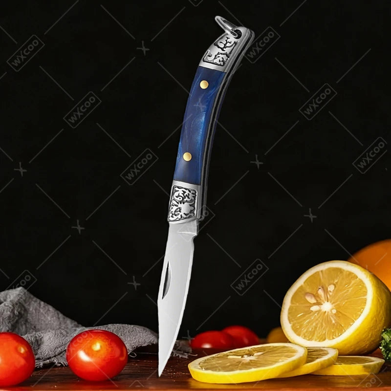 Stainless Steel Mini Knife with Non Slip Handle, Household Kitchen Folding Pocket Knife, Multifunctional Fruit knife