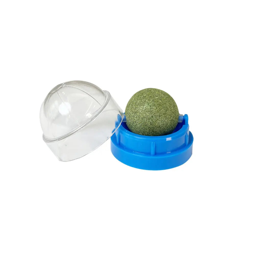 Cat Grass Snack, Removes Balls to Promote Digestion, Healthy Natural Toy for Cats