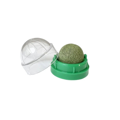 Cat Grass Snack, Removes Balls to Promote Digestion, Healthy Natural Toy for Cats