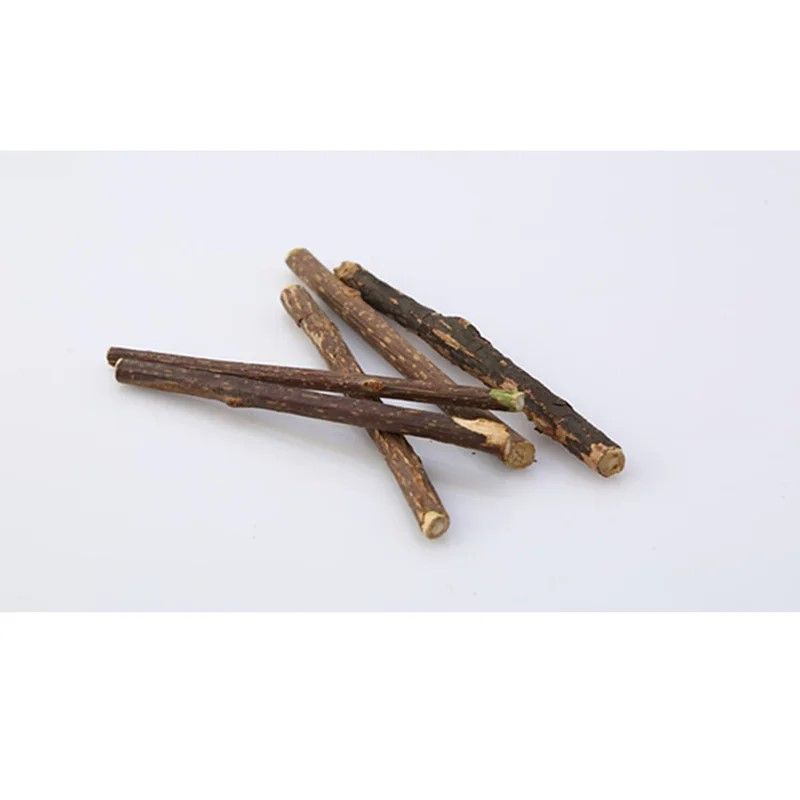Natural Silvervine  Cat Mint Dental Chew Sticks  15Pack Premium Catnip Chew  Teeth Cleaning Treat 2