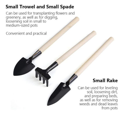 Premium WoodHandle HeavyDuty Hand Shovel  Garden Trowel Set  3Piece Planting  Transplanting Kit 3
