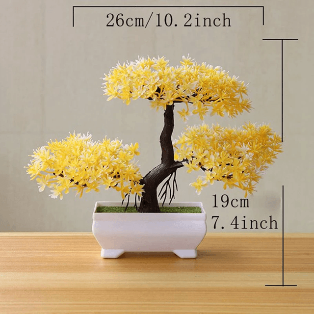Evergreen Mini Bonsai Decor Plant 3