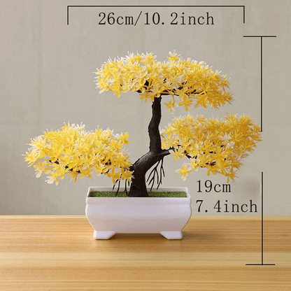 Evergreen Mini Bonsai Decor Plant 3