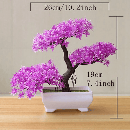 Evergreen Mini Bonsai Decor Plant 4