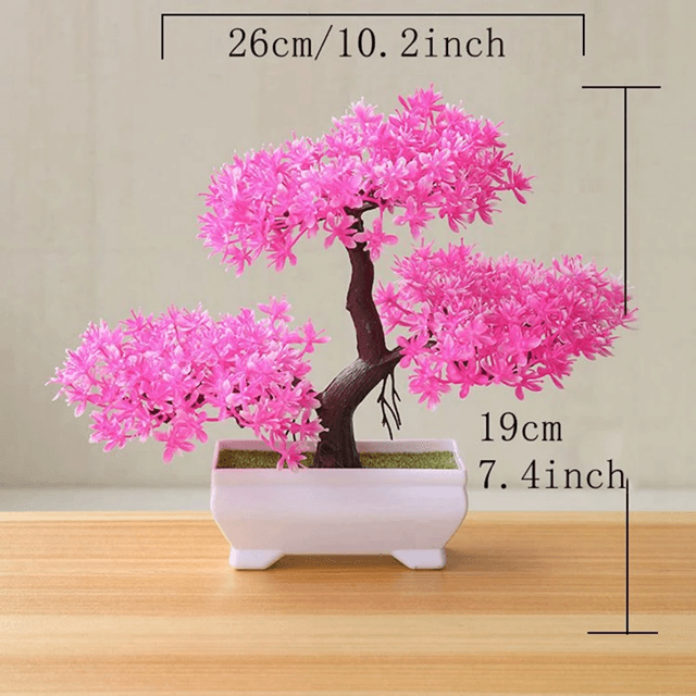 Evergreen Mini Bonsai Decor Plant 5